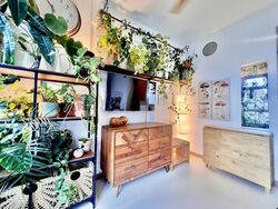 Blk 355A Anchorvale Plains (Sengkang), HDB 2 Rooms #590242421